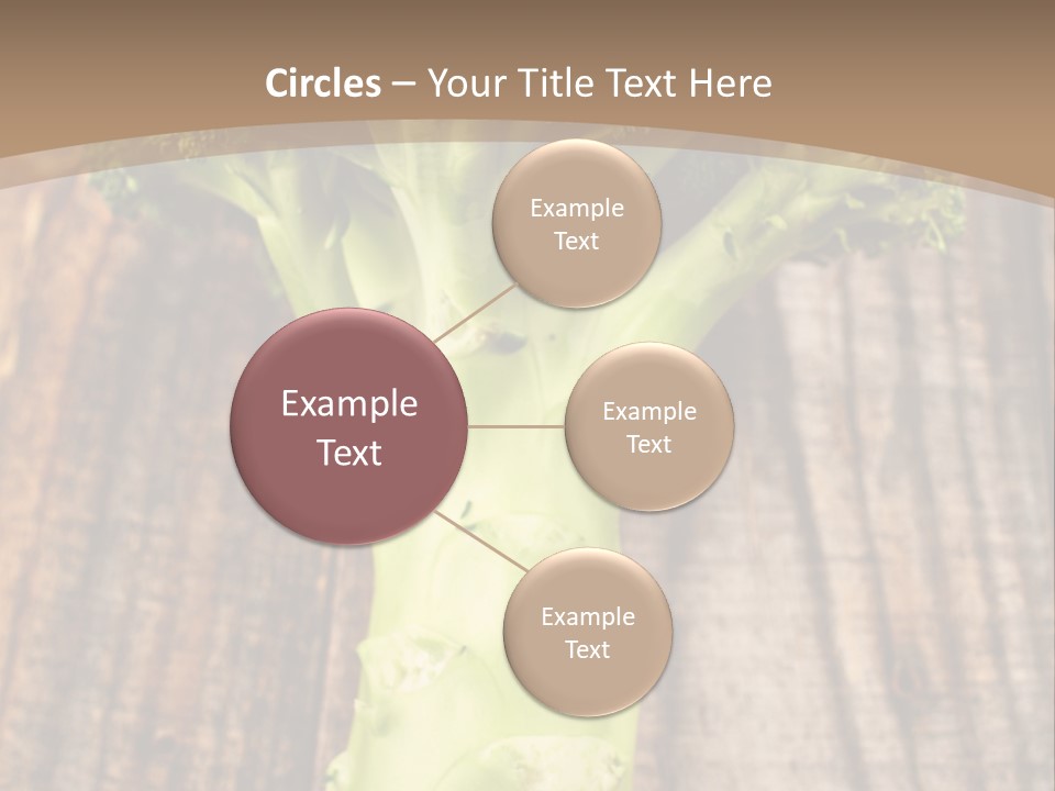 Ripe Agriculture Studio PowerPoint Template