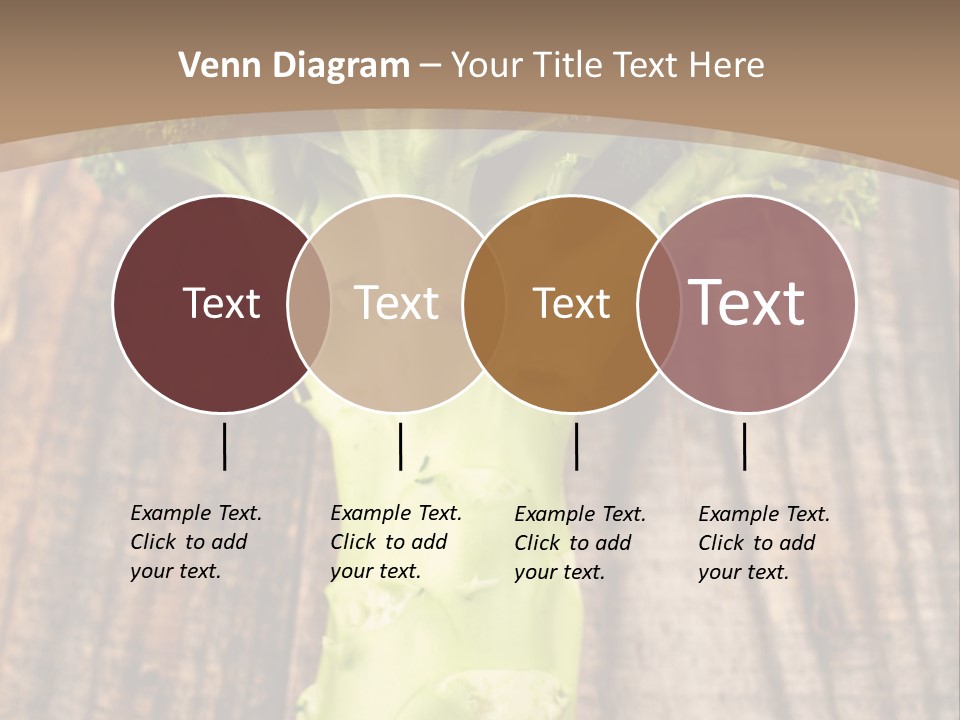 Ripe Agriculture Studio PowerPoint Template