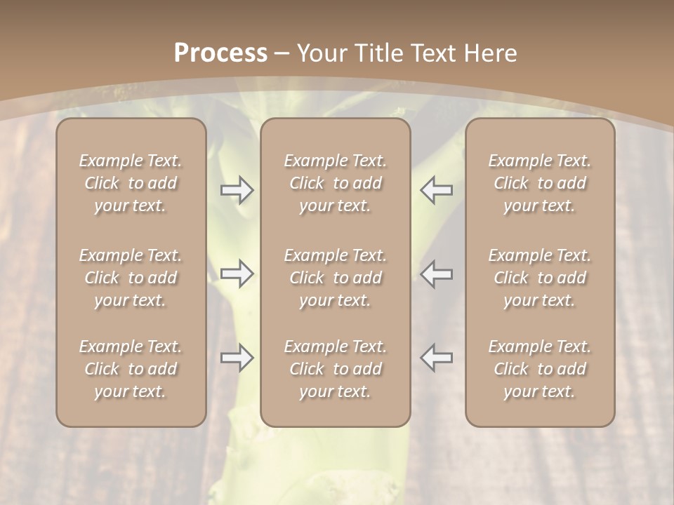 Ripe Agriculture Studio PowerPoint Template
