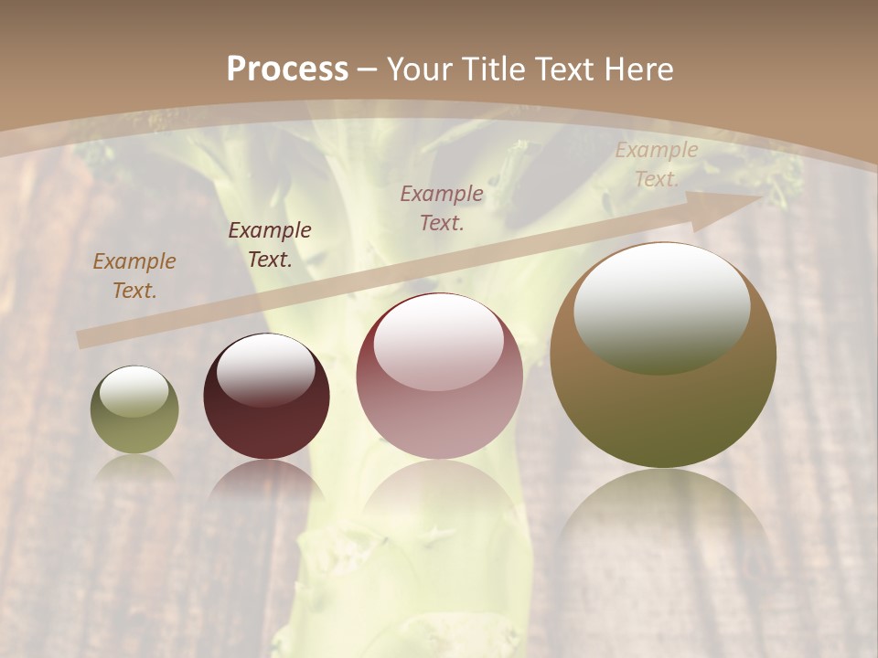 Ripe Agriculture Studio PowerPoint Template