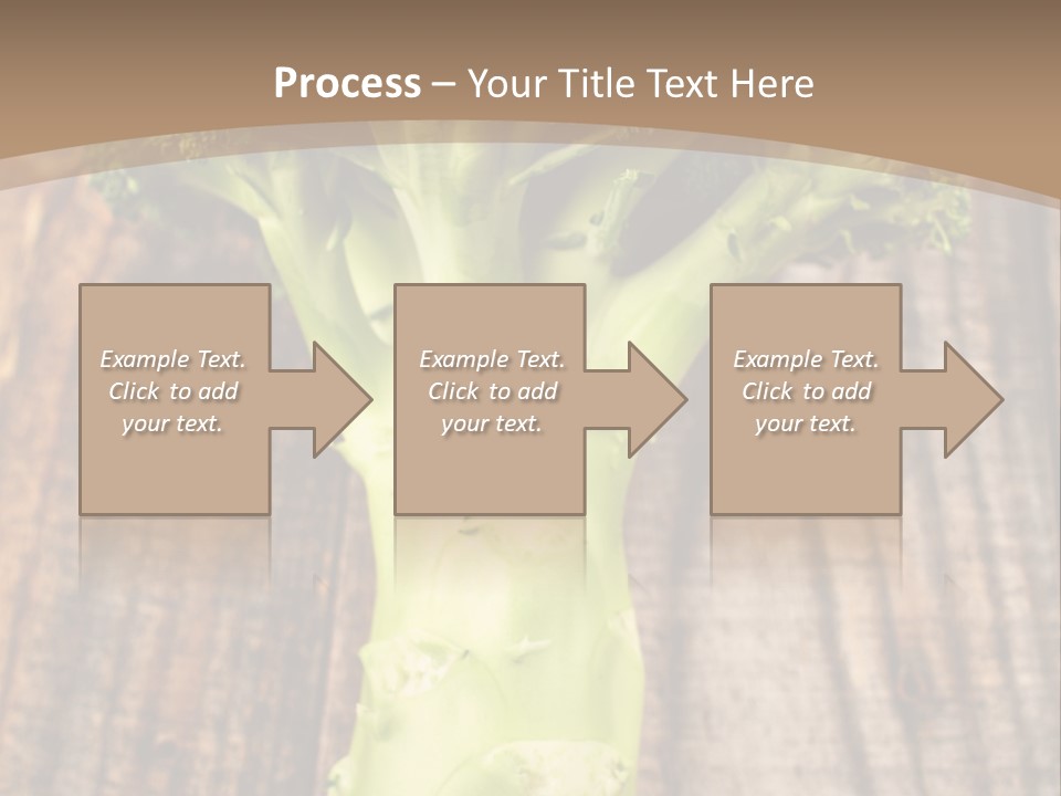Ripe Agriculture Studio PowerPoint Template