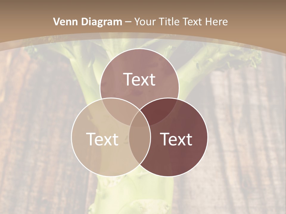 Ripe Agriculture Studio PowerPoint Template