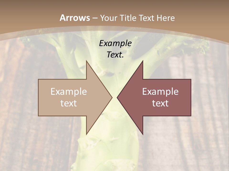 Ripe Agriculture Studio PowerPoint Template
