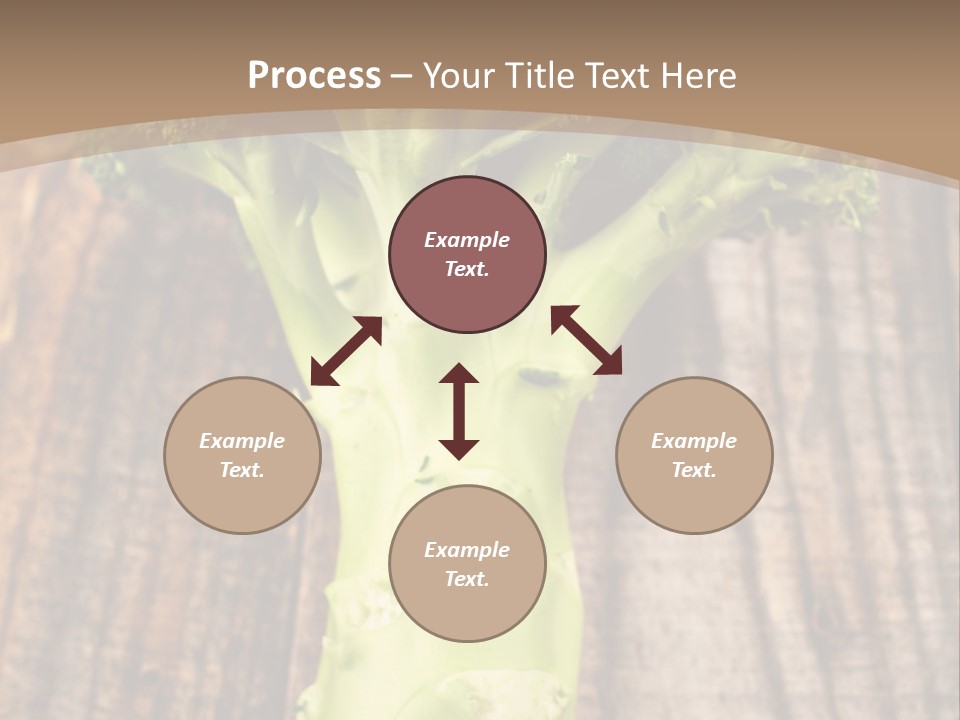 Ripe Agriculture Studio PowerPoint Template