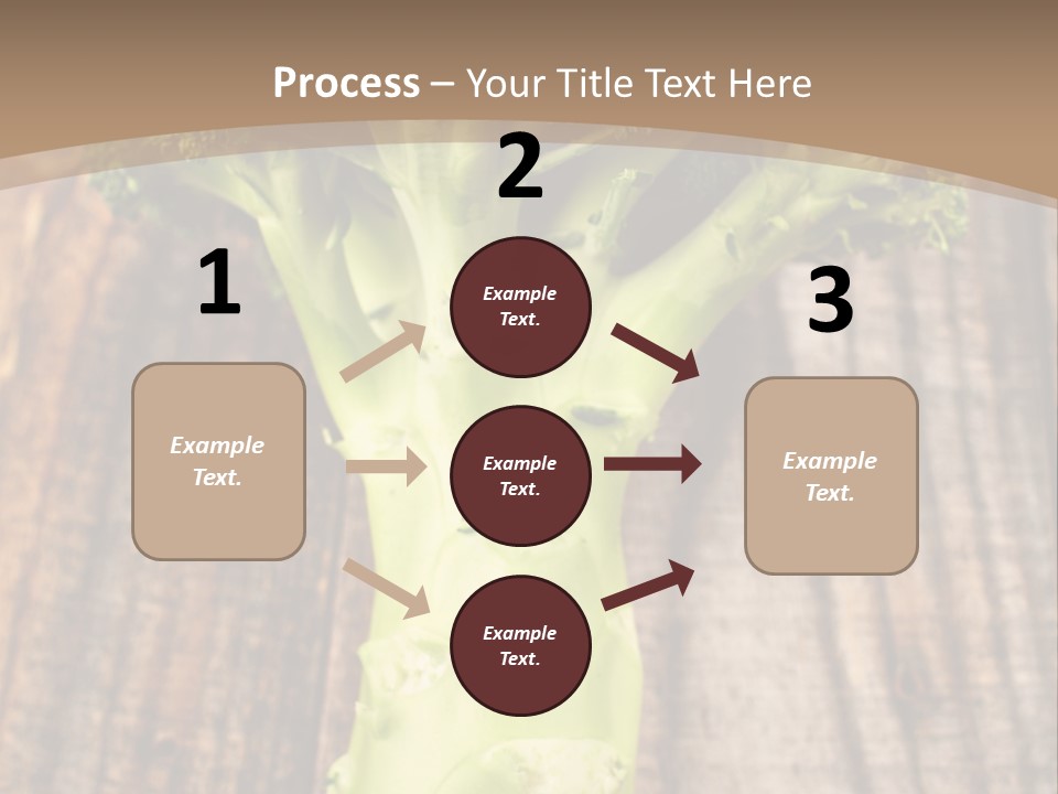 Ripe Agriculture Studio PowerPoint Template
