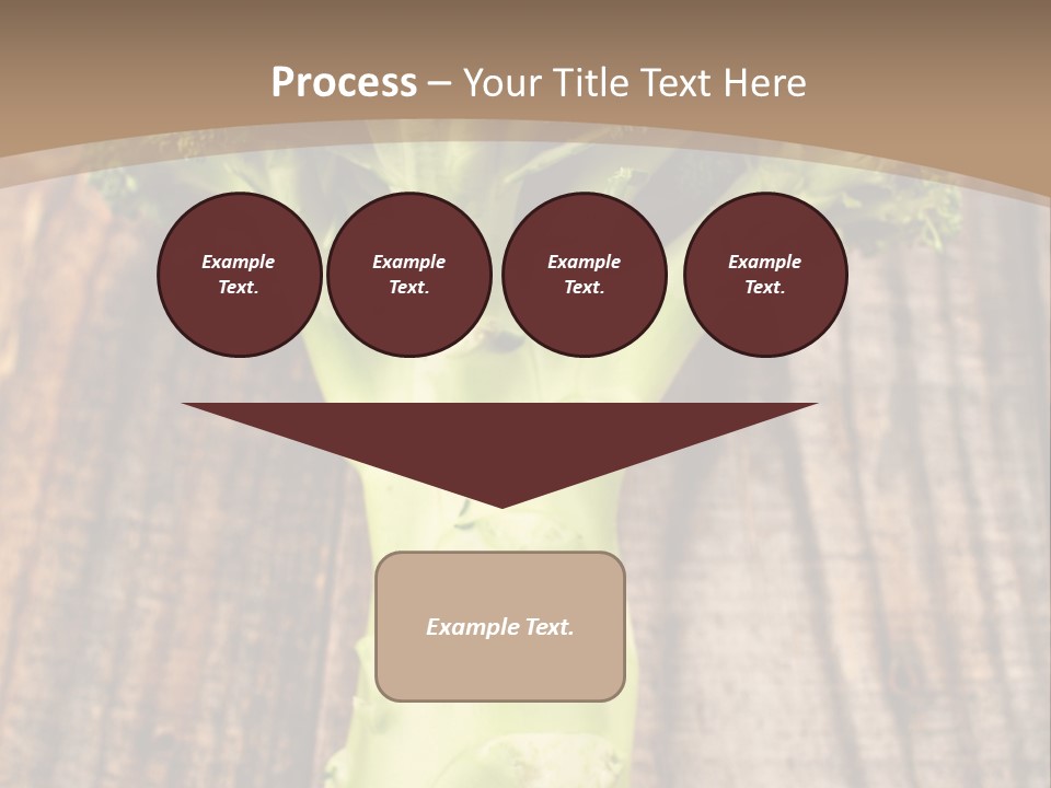 Ripe Agriculture Studio PowerPoint Template