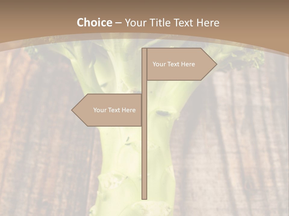 Ripe Agriculture Studio PowerPoint Template