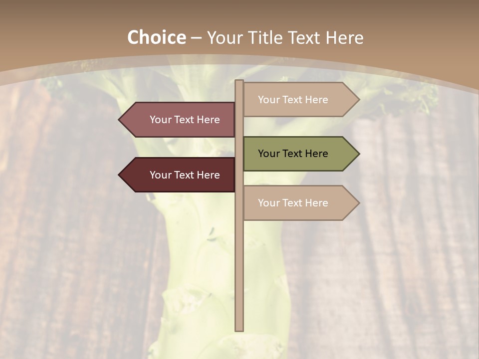 Ripe Agriculture Studio PowerPoint Template