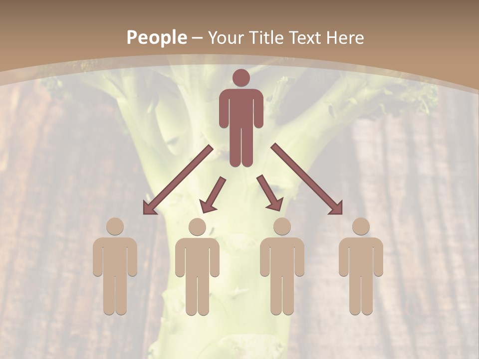 Ripe Agriculture Studio PowerPoint Template