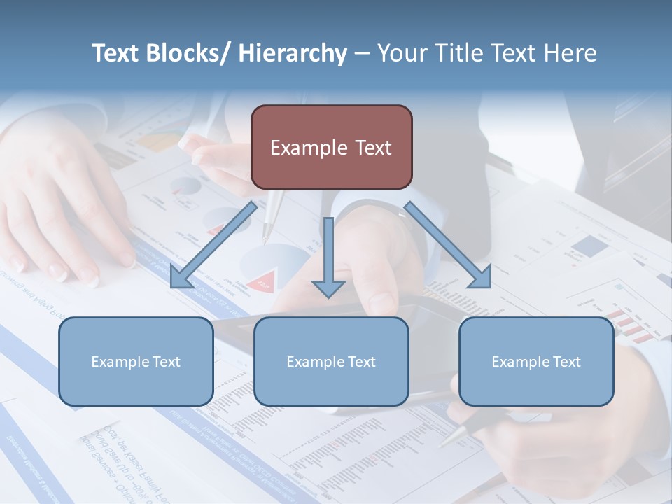 Funds Corporate Diagram PowerPoint Template