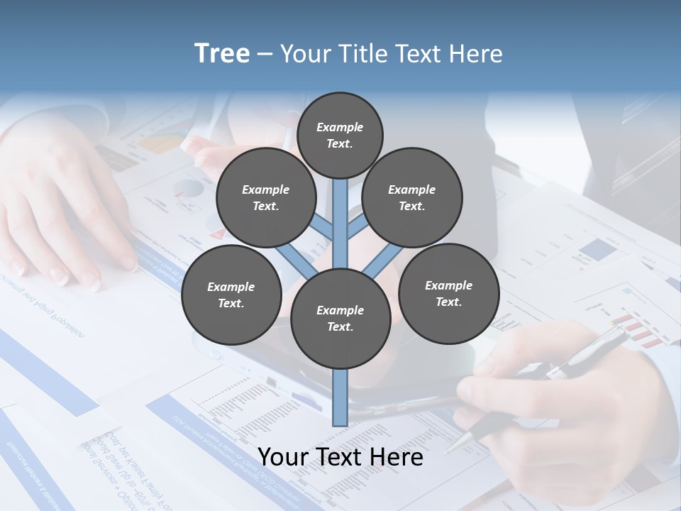 Funds Corporate Diagram PowerPoint Template