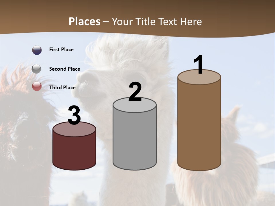 Color Day Cuddly PowerPoint Template