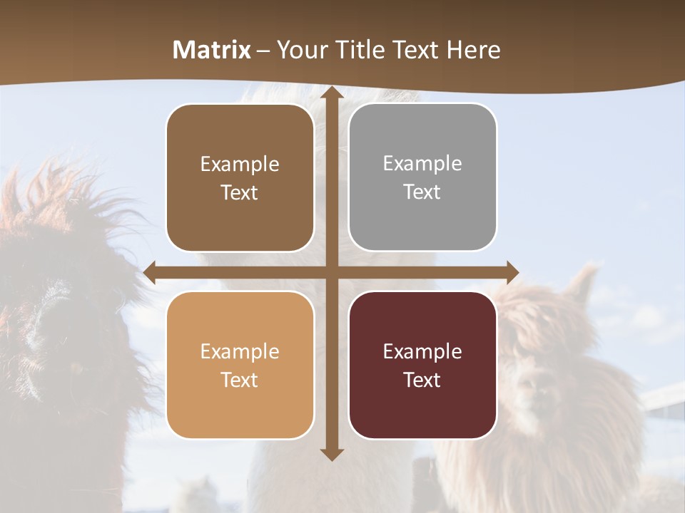 Color Day Cuddly PowerPoint Template