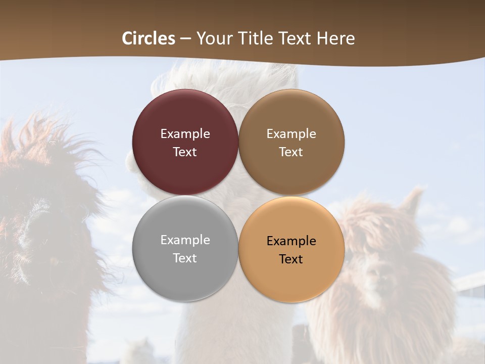 Color Day Cuddly PowerPoint Template