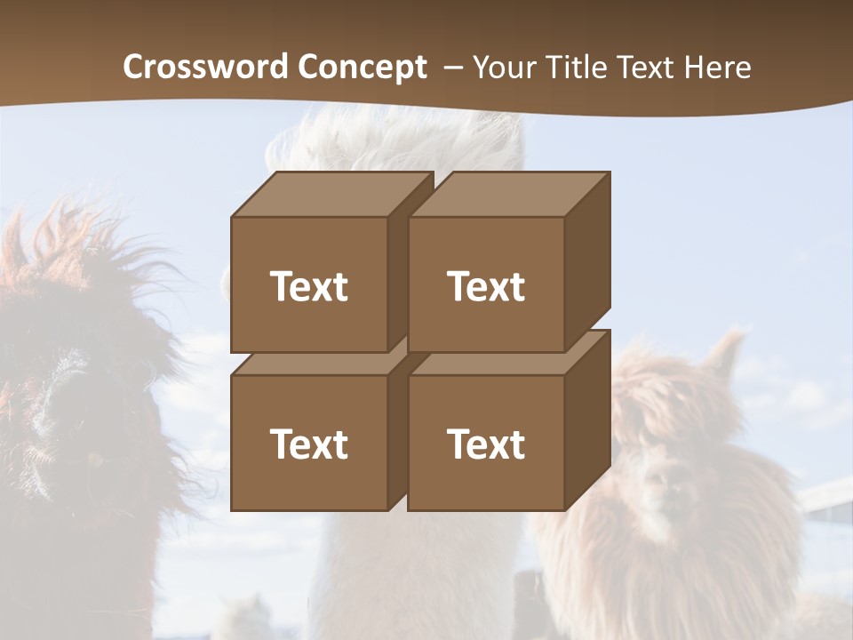 Color Day Cuddly PowerPoint Template