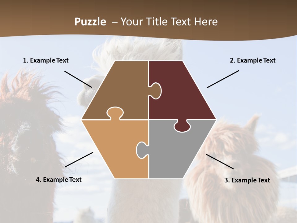 Color Day Cuddly PowerPoint Template