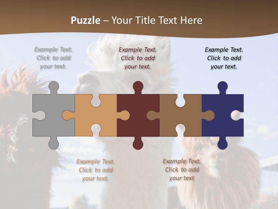 Color Day Cuddly PowerPoint Template