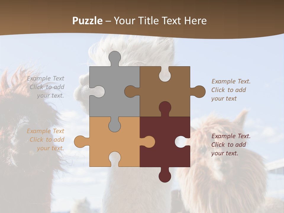 Color Day Cuddly PowerPoint Template