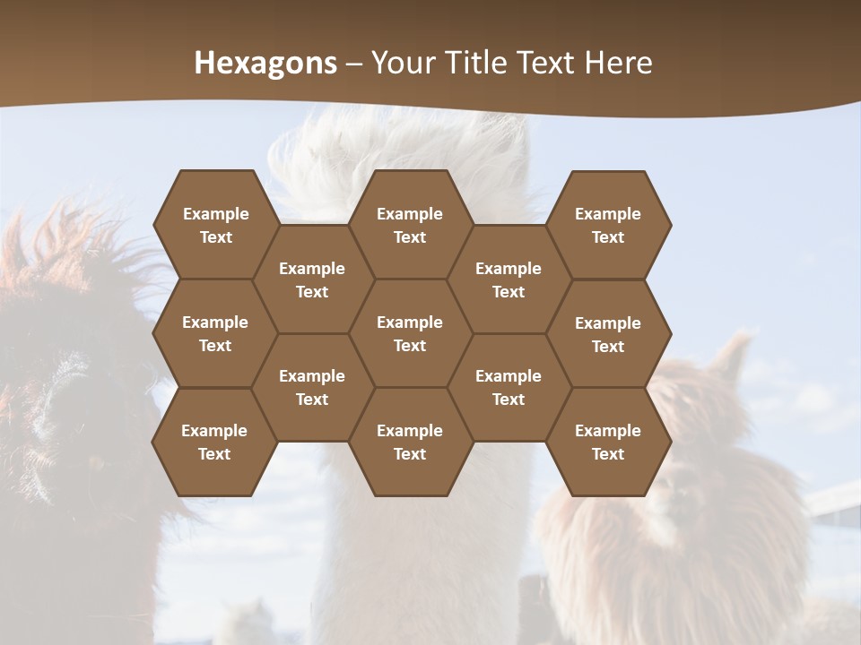 Color Day Cuddly PowerPoint Template