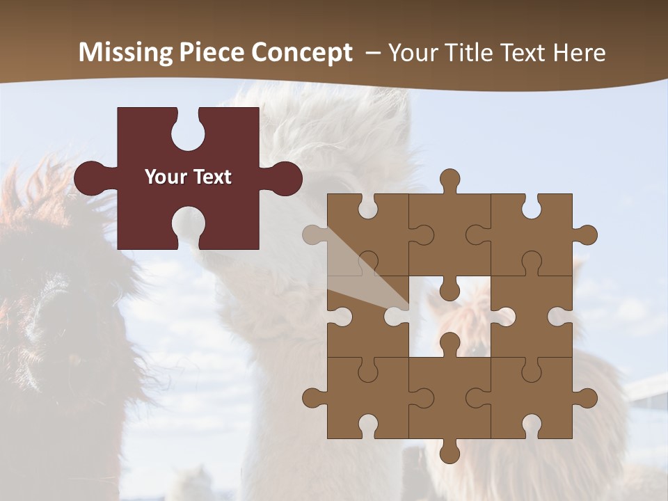 Color Day Cuddly PowerPoint Template