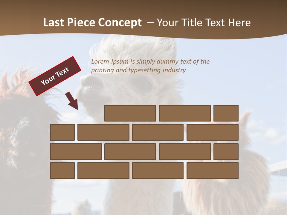 Color Day Cuddly PowerPoint Template