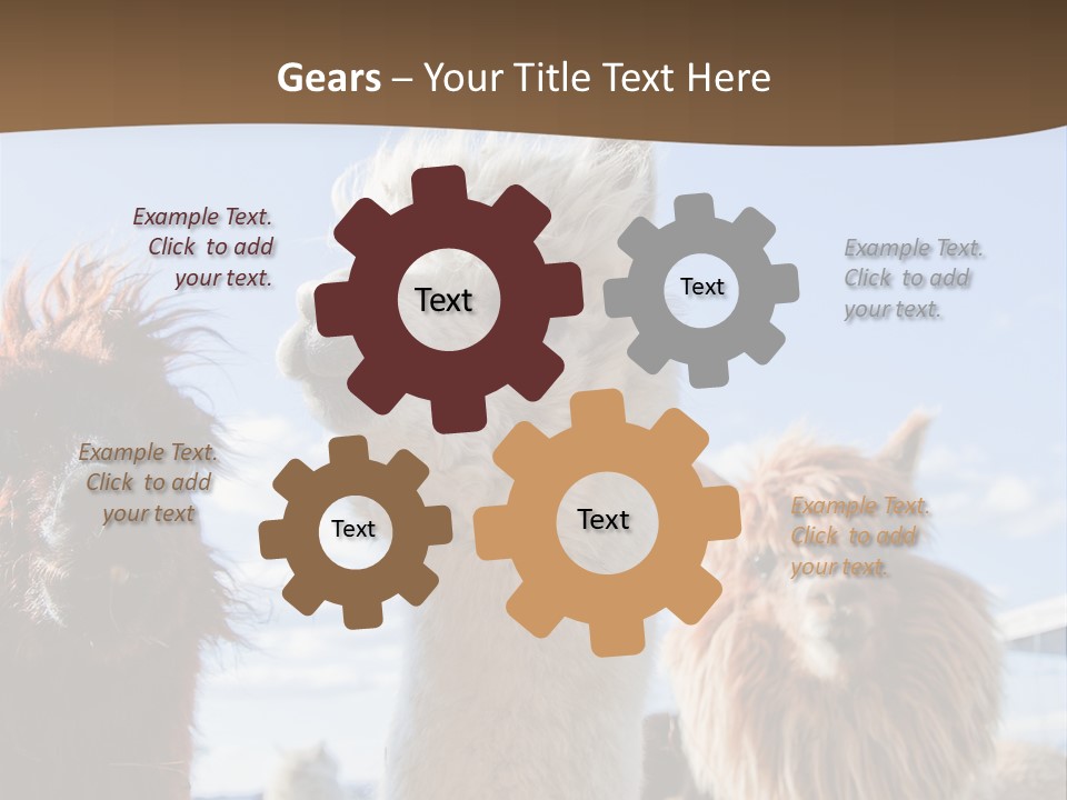 Color Day Cuddly PowerPoint Template