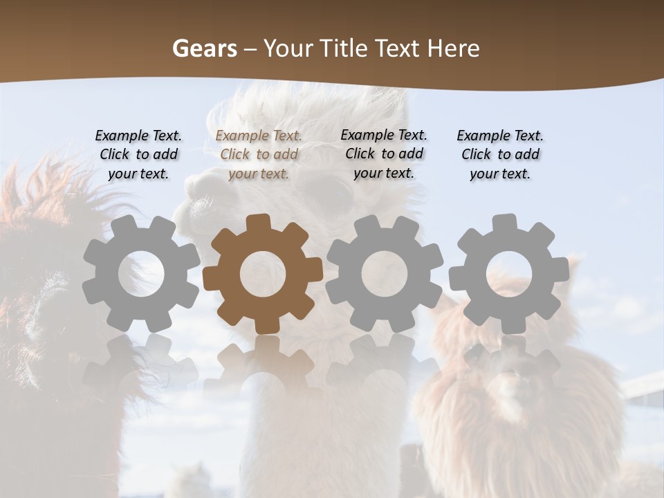 Color Day Cuddly PowerPoint Template