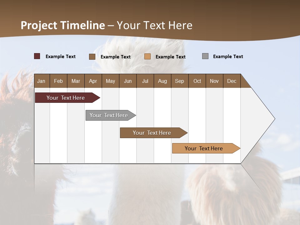 Color Day Cuddly PowerPoint Template