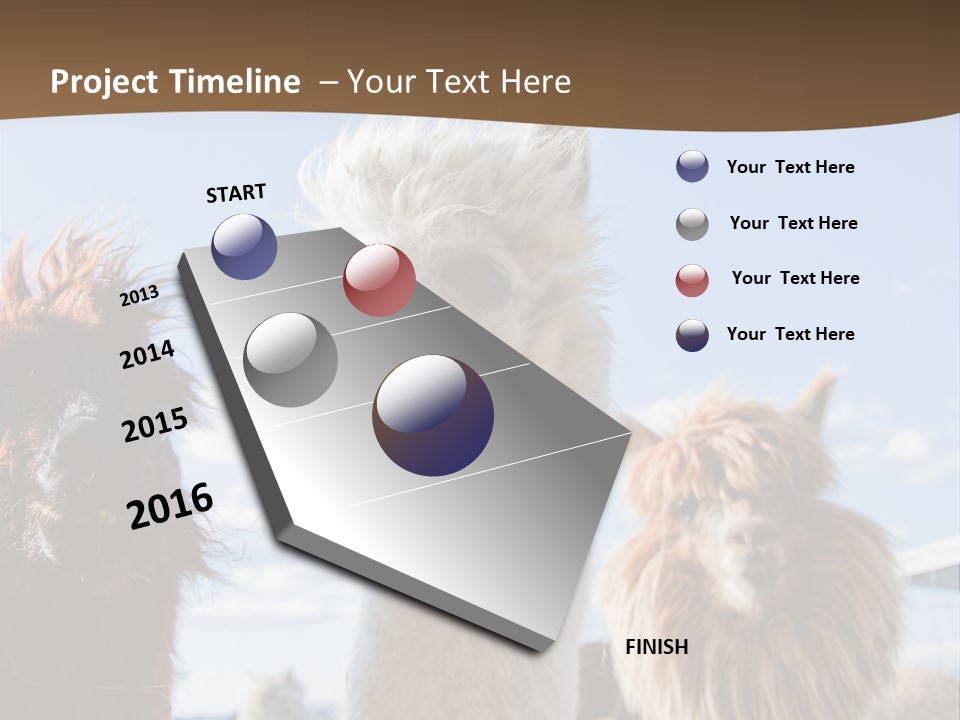 Color Day Cuddly PowerPoint Template
