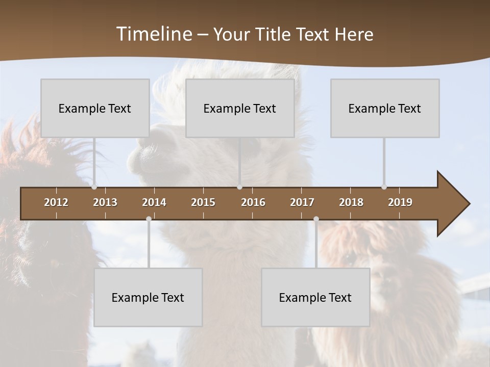 Color Day Cuddly PowerPoint Template