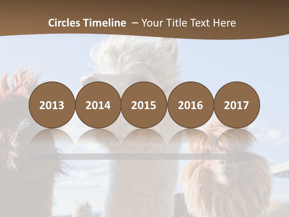 Color Day Cuddly PowerPoint Template