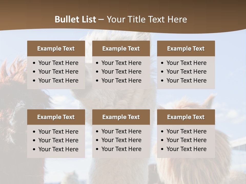 Color Day Cuddly PowerPoint Template