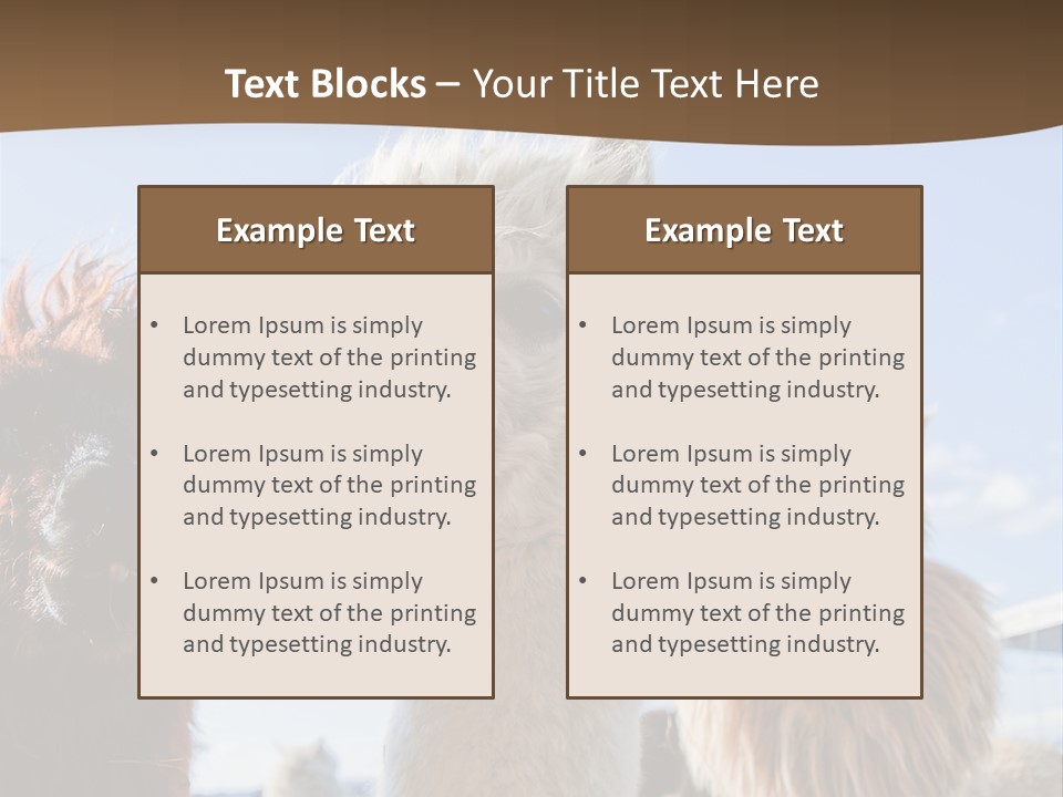 Color Day Cuddly PowerPoint Template