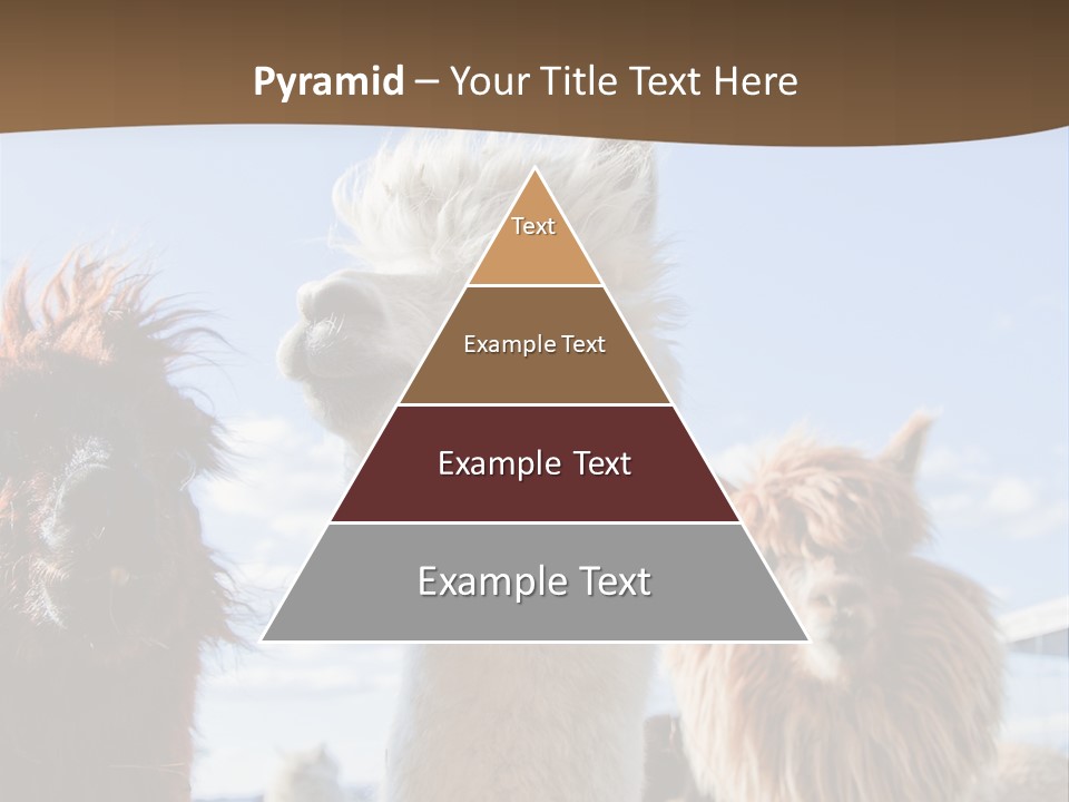 Color Day Cuddly PowerPoint Template