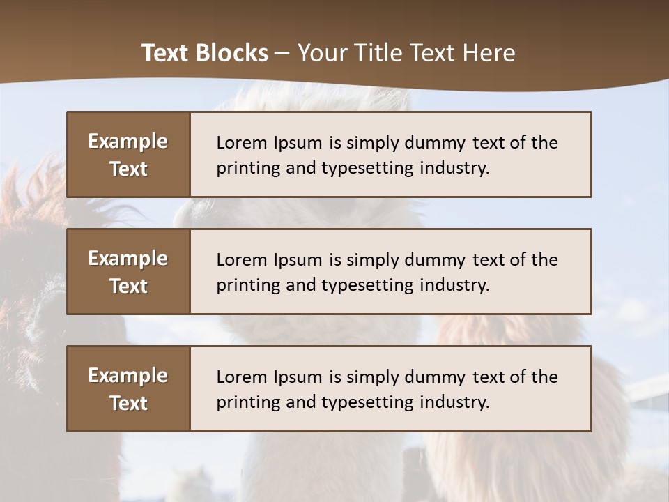 Color Day Cuddly PowerPoint Template