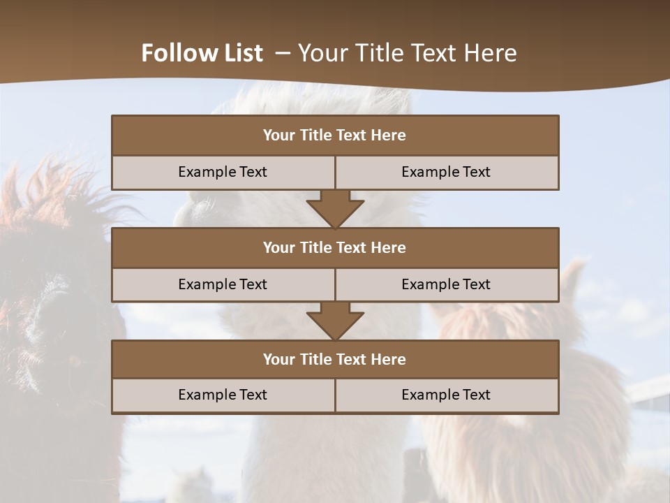 Color Day Cuddly PowerPoint Template