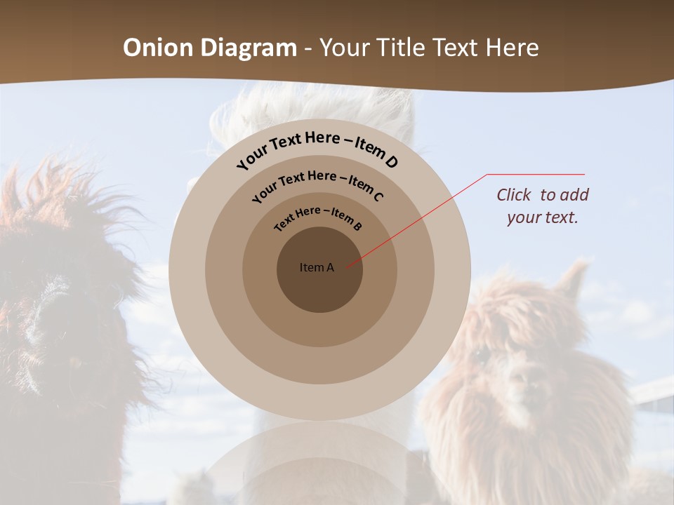 Color Day Cuddly PowerPoint Template