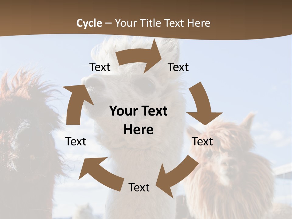 Color Day Cuddly PowerPoint Template