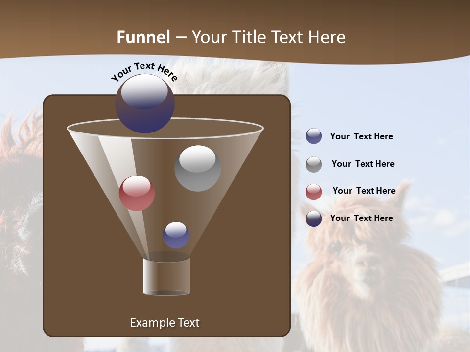 Color Day Cuddly PowerPoint Template