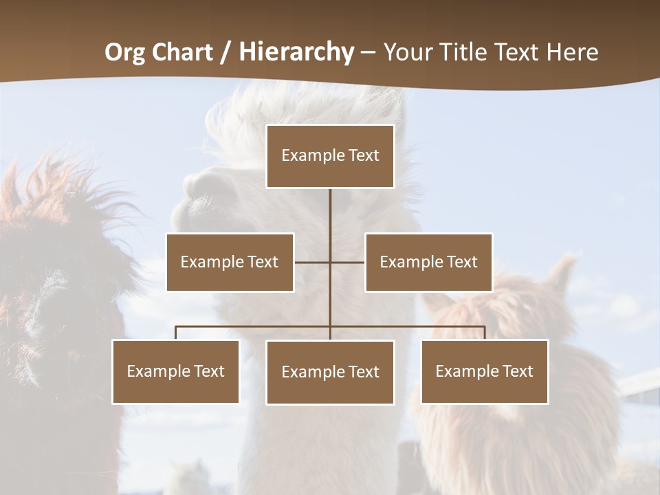 Color Day Cuddly PowerPoint Template