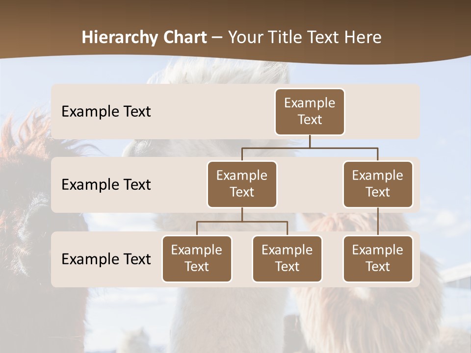 Color Day Cuddly PowerPoint Template