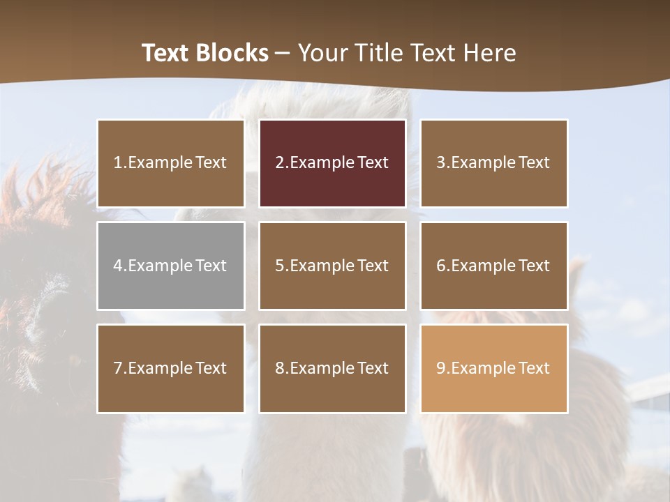 Color Day Cuddly PowerPoint Template