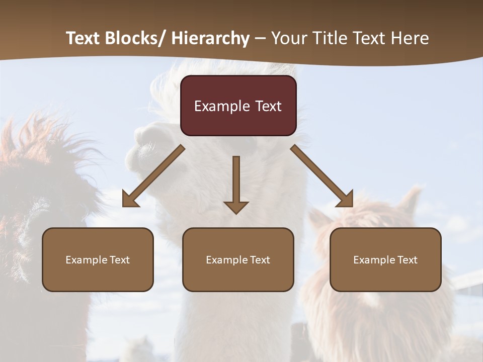 Color Day Cuddly PowerPoint Template