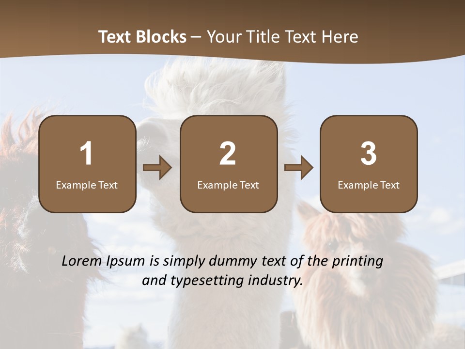 Color Day Cuddly PowerPoint Template