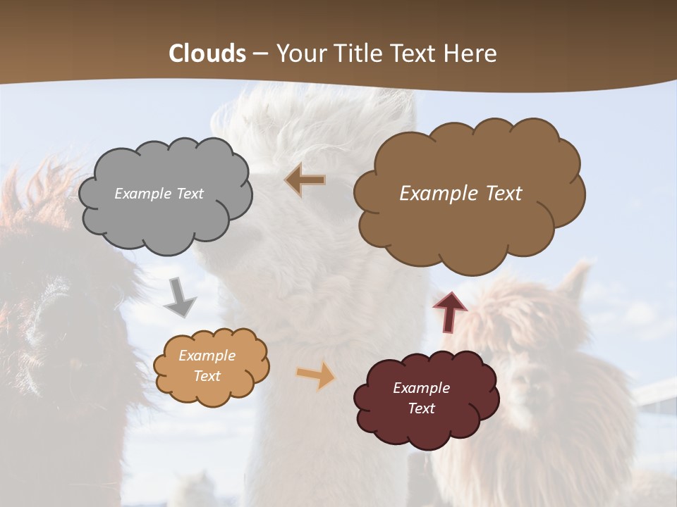 Color Day Cuddly PowerPoint Template