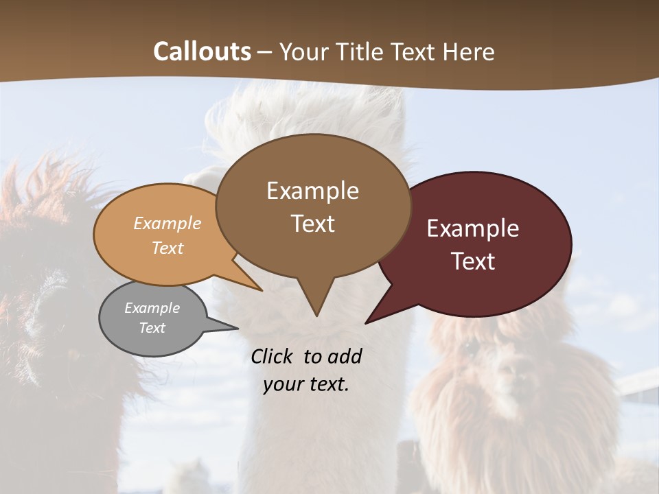 Color Day Cuddly PowerPoint Template