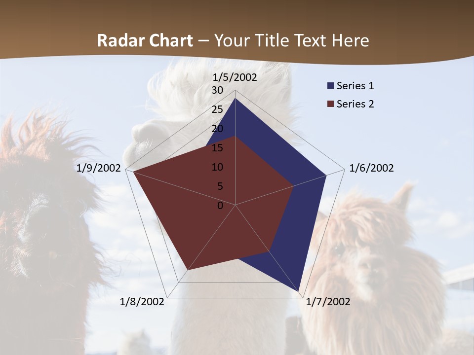 Color Day Cuddly PowerPoint Template