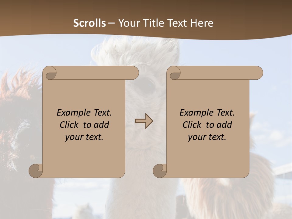 Color Day Cuddly PowerPoint Template