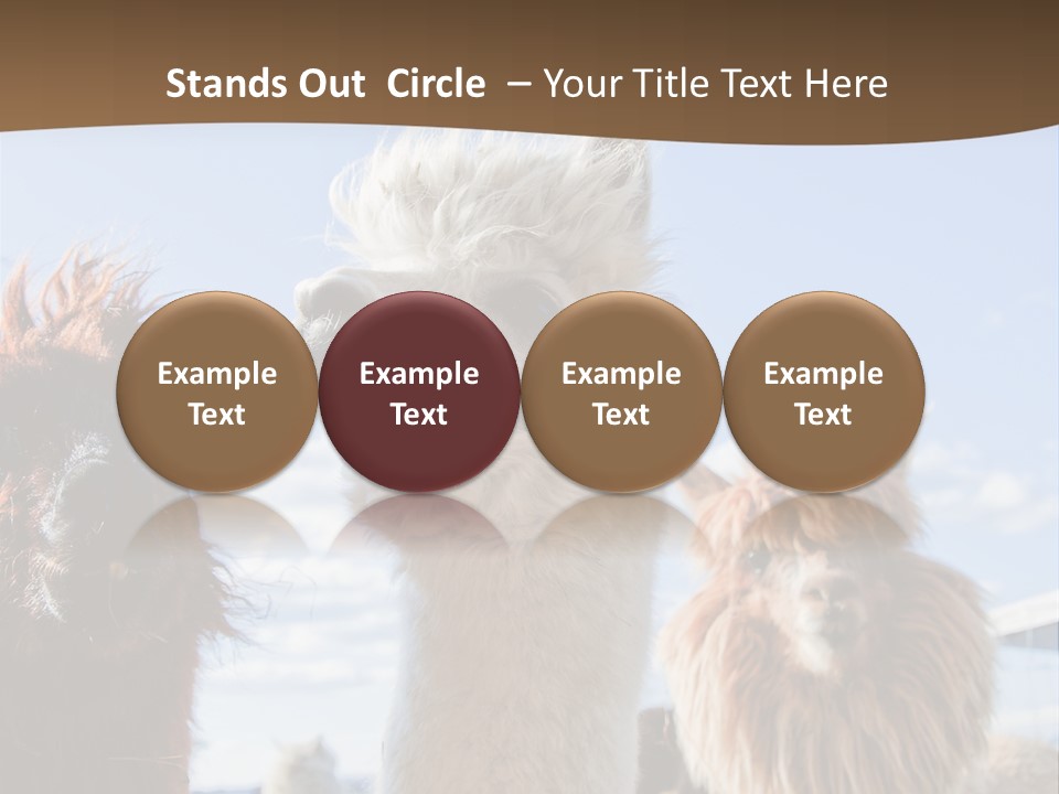 Color Day Cuddly PowerPoint Template