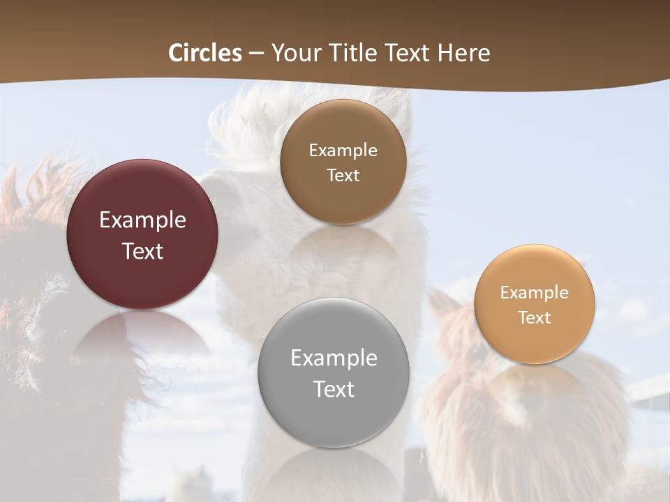 Color Day Cuddly PowerPoint Template